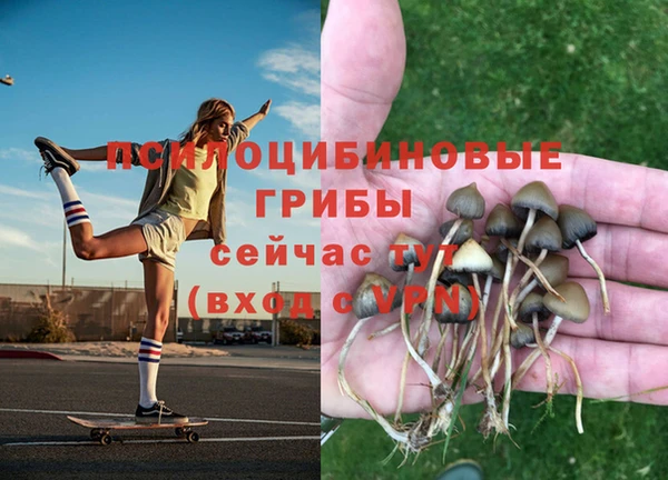 spice Алексеевка