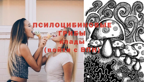 МДПВ Алексин