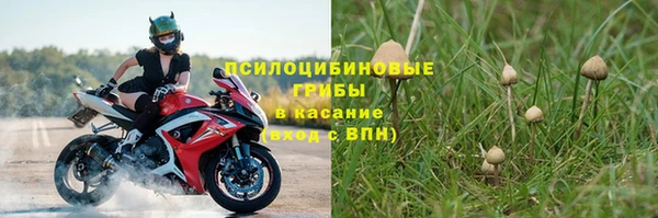 трава Осташков