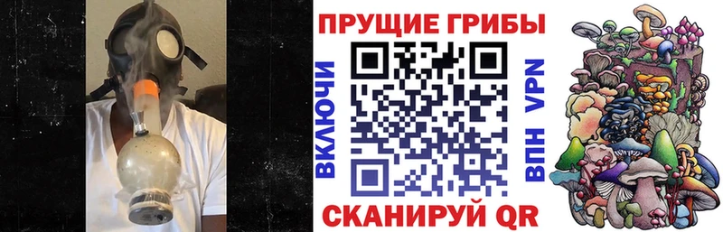 Галлюциногенные грибы ЛСД Билибино